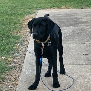 Meet your Posher, Drew